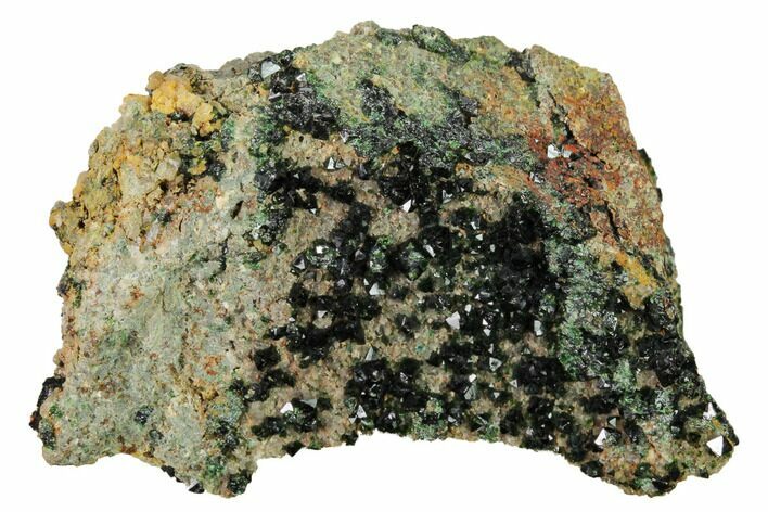 Deep-Green Libethenite Crystal Cluster #169814